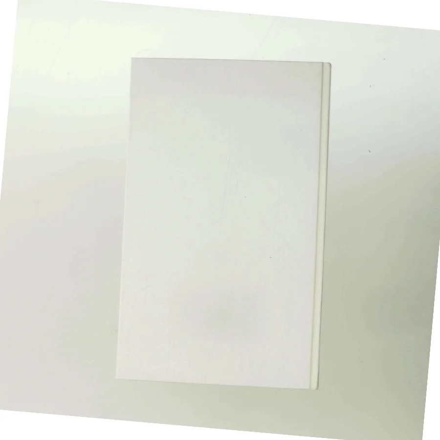 Madam President af Anne Holt (Bog)