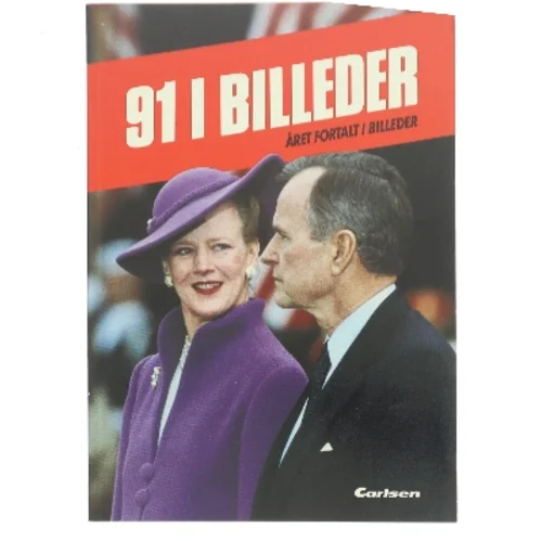 91 I Billeder (Bog)