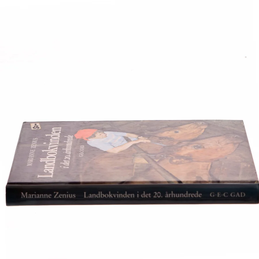 Landbokvinden i det 20. århundrede af Marianne Zenius (Bog)