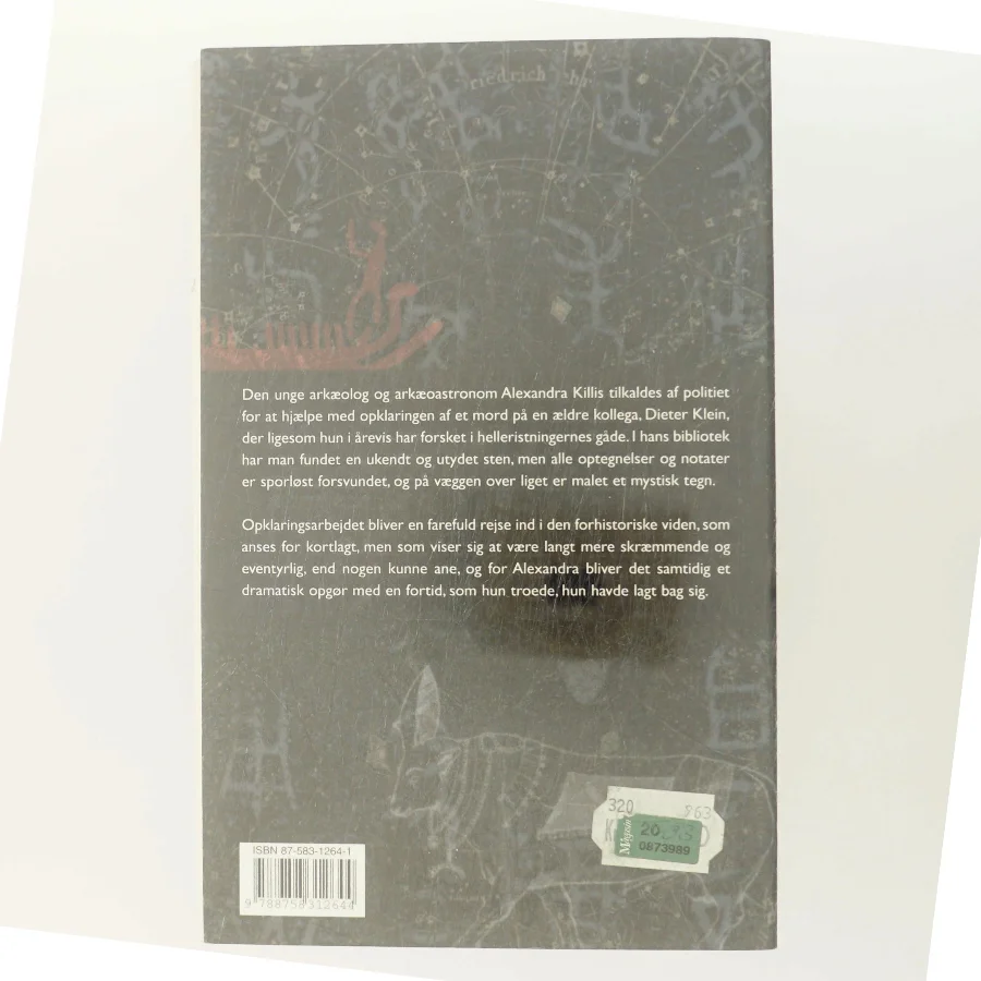 Femte sol brænder : roman af Michael Larsen (f. 1961) (Bog)