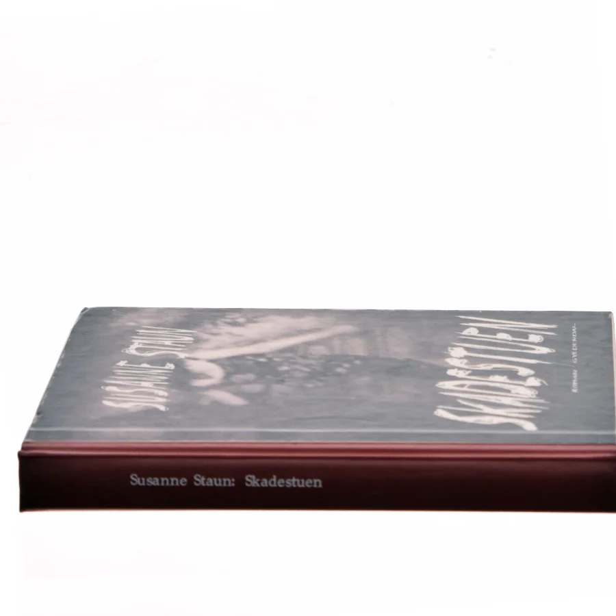 Skadestuen af Susanne Staun (Bog)