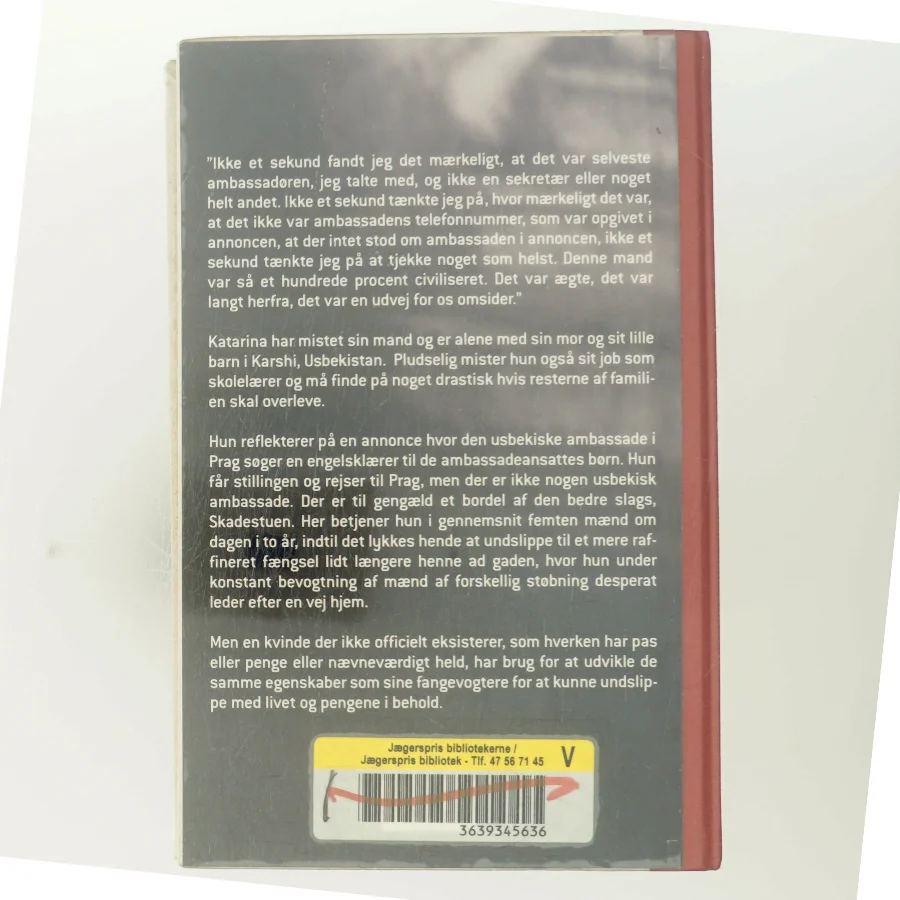 Skadestuen af Susanne Staun (Bog)