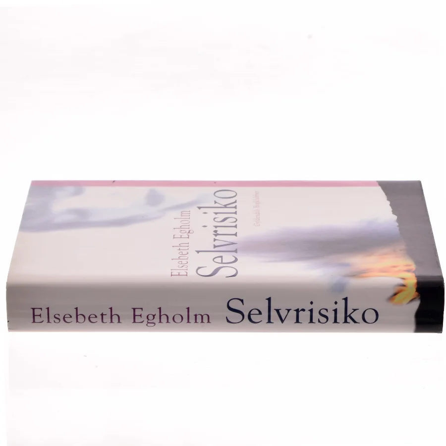 Selvrisiko af Elsebeth Egholm (Bog)