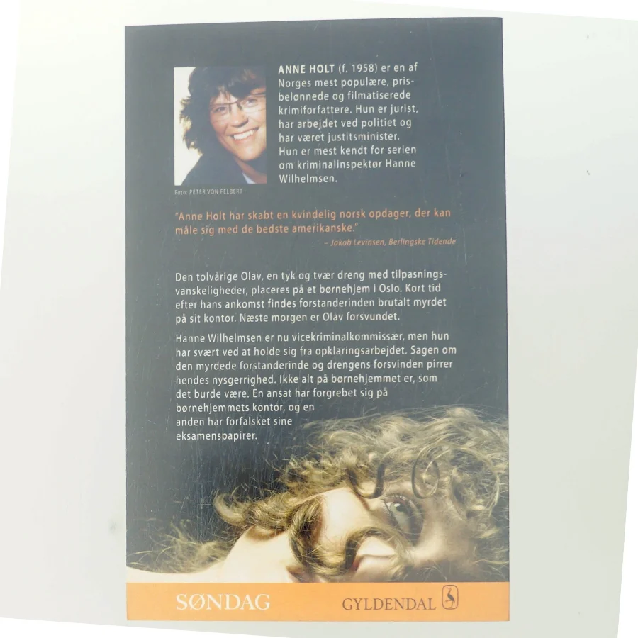 Dæmonens død af Anne Holt (Bog)