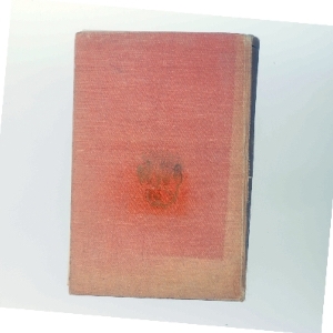 Borte med Blæsten af Margaret Mitchell (Bog)