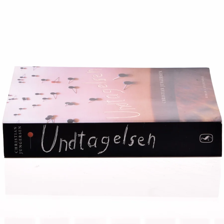 Undtagelsen af Christian Jungersen (Bog)