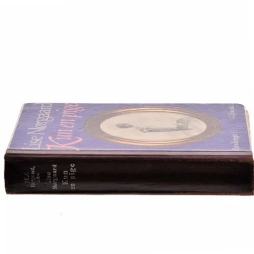 Kun en pige af Lise Nørgaard (Bog)