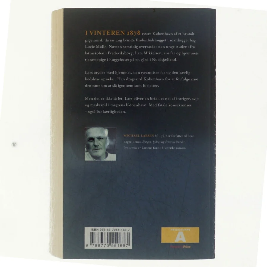 Den store tid : roman : Aftenlandet af Michael Larsen (f. 1961) (Bog)