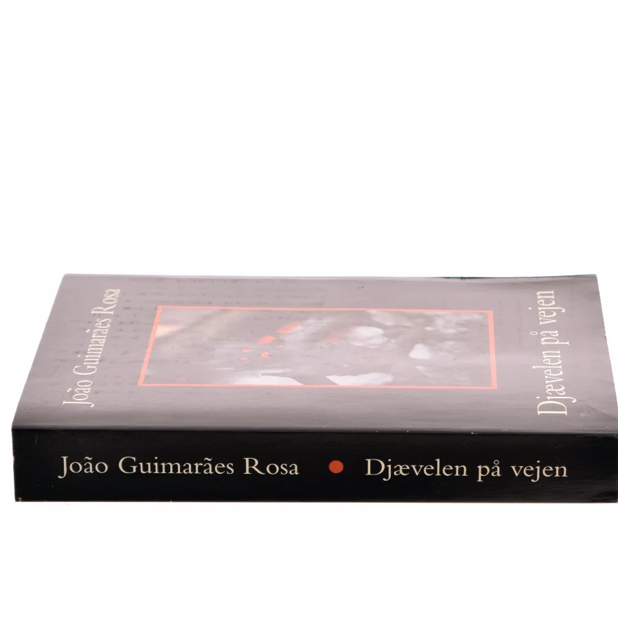 Djævlen på vejen. af Rosa, Jao Guimaraes (Bog)
