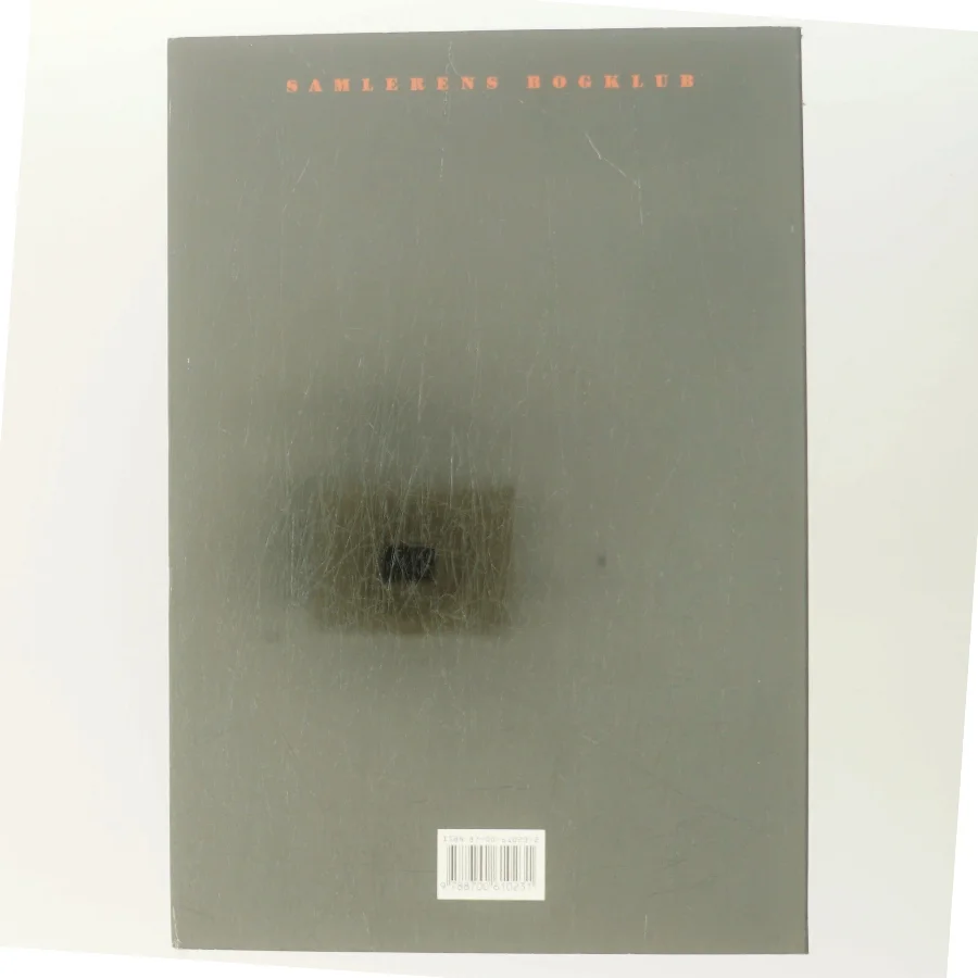 Djævlen på vejen. af Rosa, Jao Guimaraes (Bog)