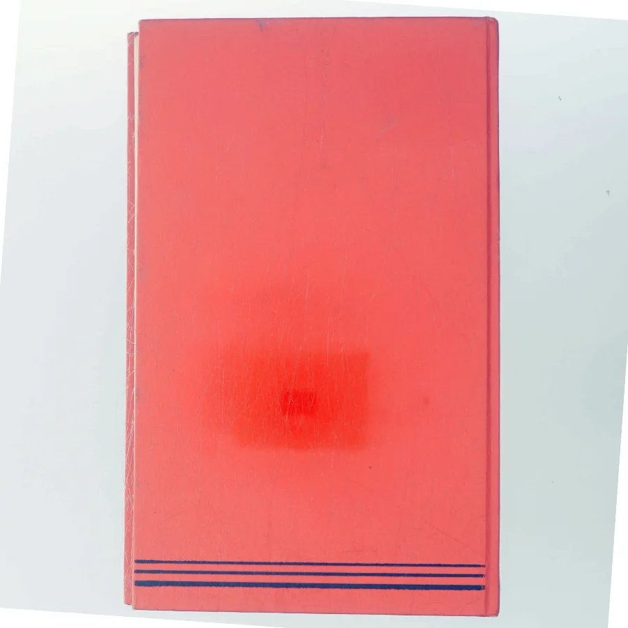 Volmer af Lise Nørgaard (Bog)