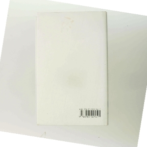 Snemanden af Jo Nesbø (Bog)