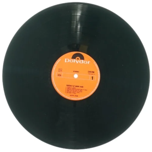Portrait of Barry Ryan fra Polydor (str. 30 cm)
