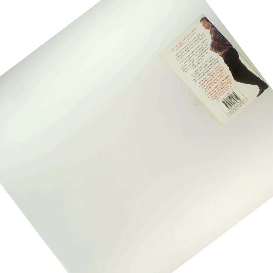 The hippopotamus af Stephen Fry (Bog)