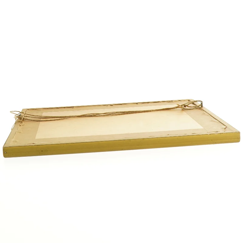 Indrammet billede (str. 32 x 27 cm)