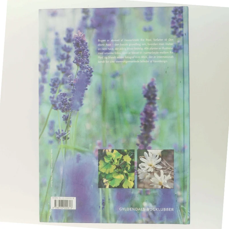 Havens nemme planter af Rie Post (Bog)