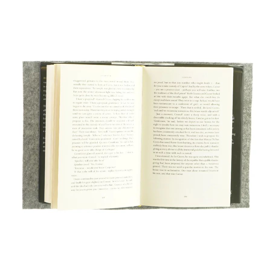 Lustrum af Robert Harris (bog)