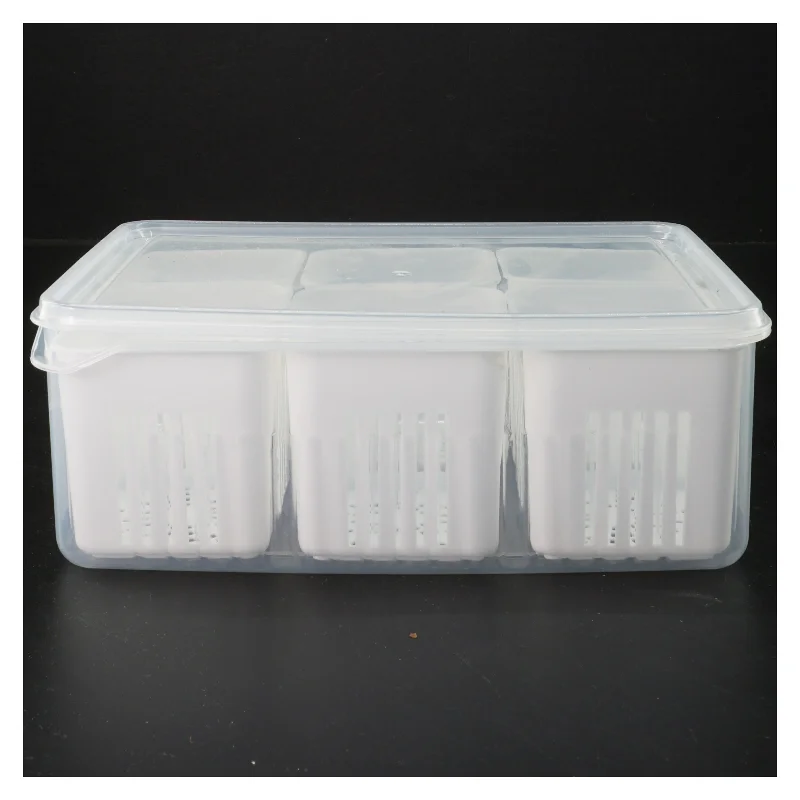 Opbevaringsbeholder med ruminddelinger (str. 22x16 cm)