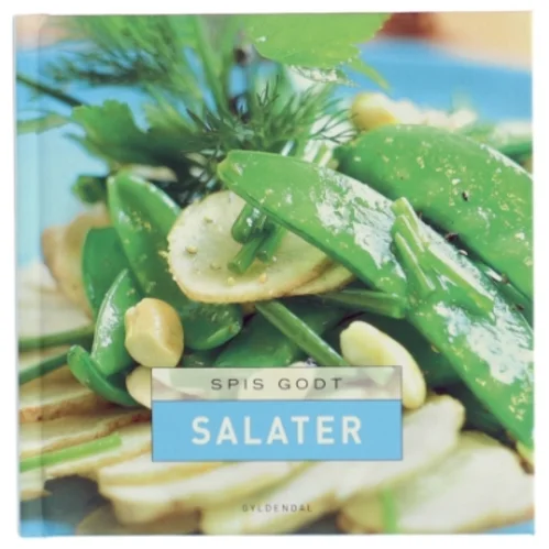 Spis godt - salater af Dorte Einarsson (Bog)