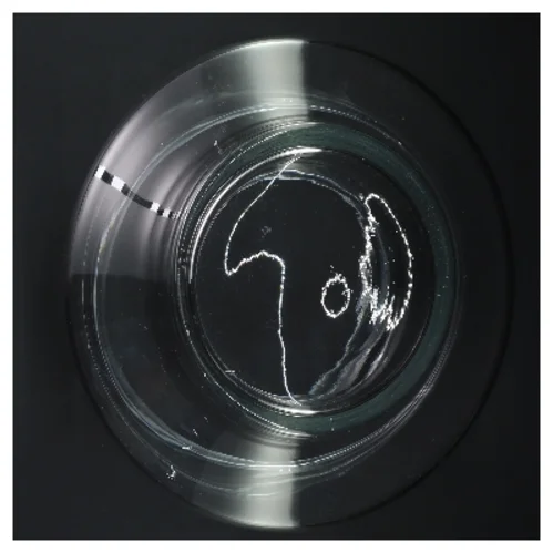 punchbowle med låg (str. Ø 16 cm, 22 cm)