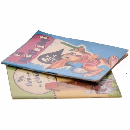 På Skattejagt (Bog)