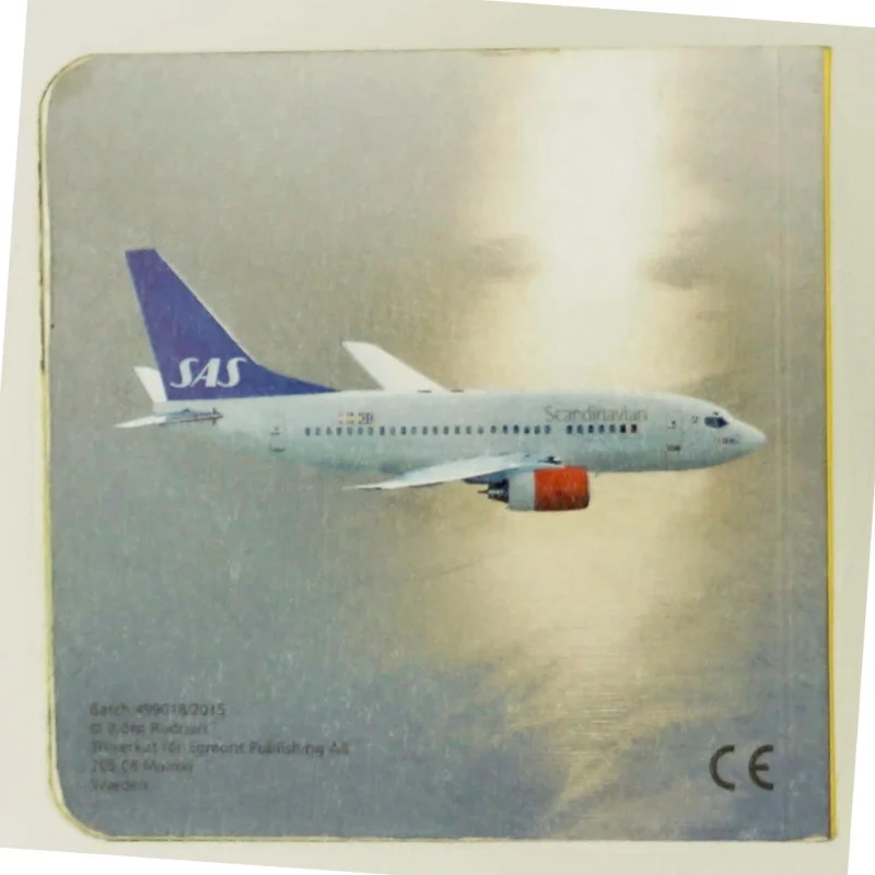 Ukendt titel af John Rodsted (Bog)