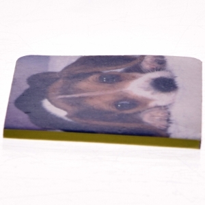 Ukendt titel af John Rodsted (Bog)