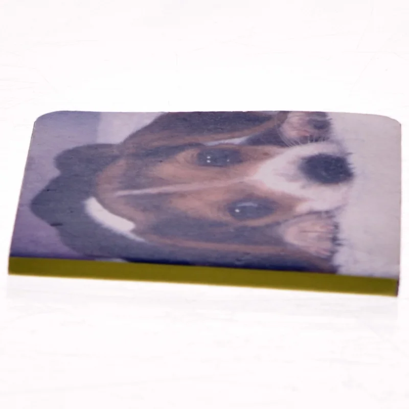 Ukendt titel af John Rodsted (Bog)