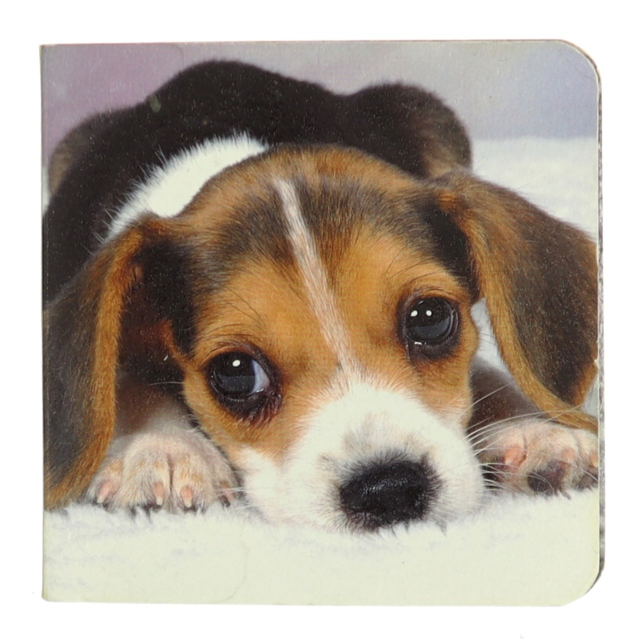 Ukendt titel af John Rodsted (Bog)