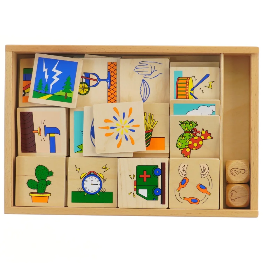 5 Senses og daglige aktiviteter spil fra Gogotoys (str. 32x21,5 cm)