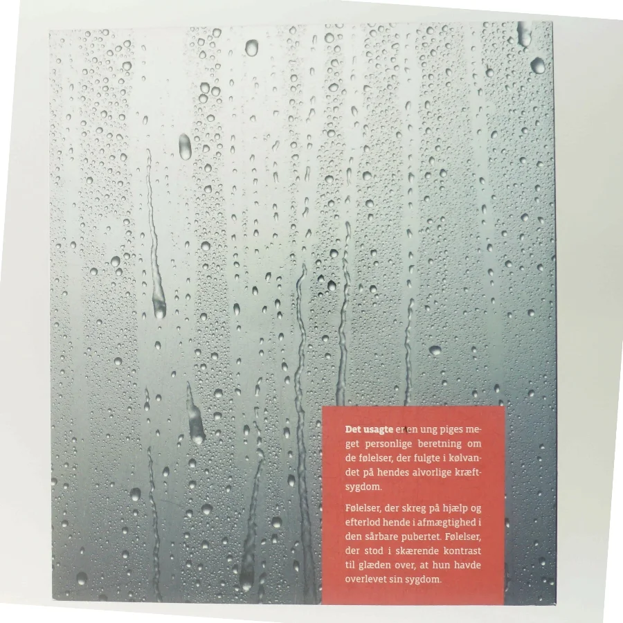 Det usagte af Trine Høpiach Christensen (Bog)