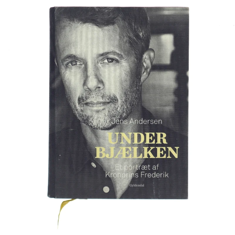 Under bjælken af Jens Andersen (f. 1955) (Bog)