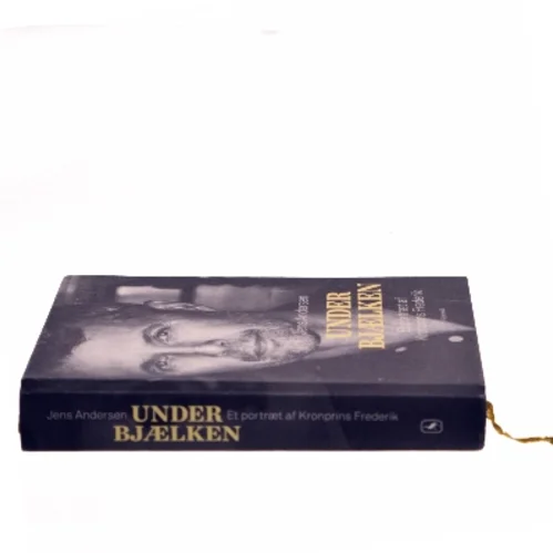 Under bjælken af Jens Andersen (f. 1955) (Bog)
