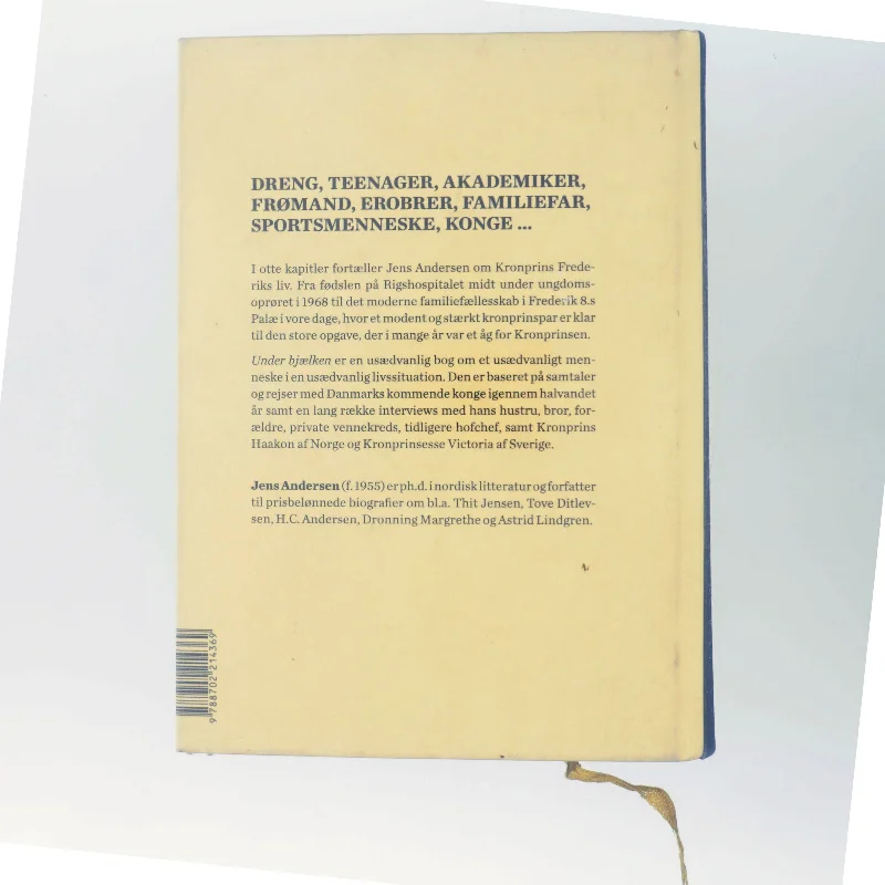 Under bjælken af Jens Andersen (f. 1955) (Bog)