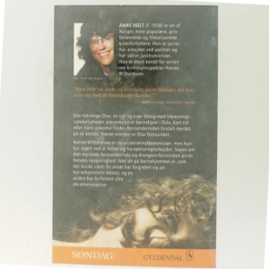 Dæmonens død af Anne Holt fra Gyldendal