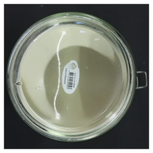 Opbevaringsglas med sort låg (str. 18 cm)