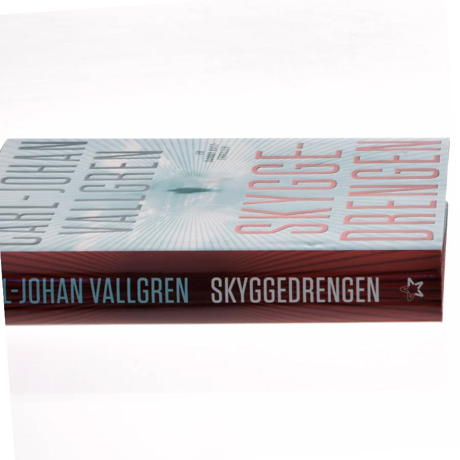 Skyggedrengen af Carl-Johan Vallgren (Bog)