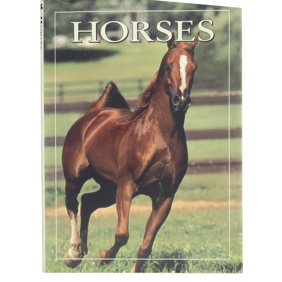 World of Horses af Angela Rixon (Bog)