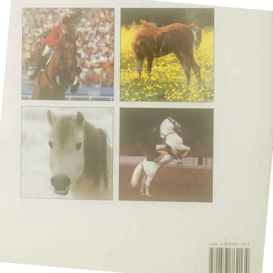 World of Horses af Angela Rixon (Bog)