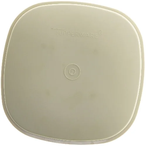 Tupperware opbevaringsboks med dræn fra Tupperware (str. 23,5x23,5 cm)