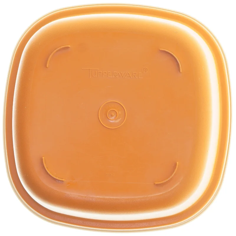 Tupperware opbevaringsboks med dræn fra Tupperware (str. 23,5x23,5 cm)