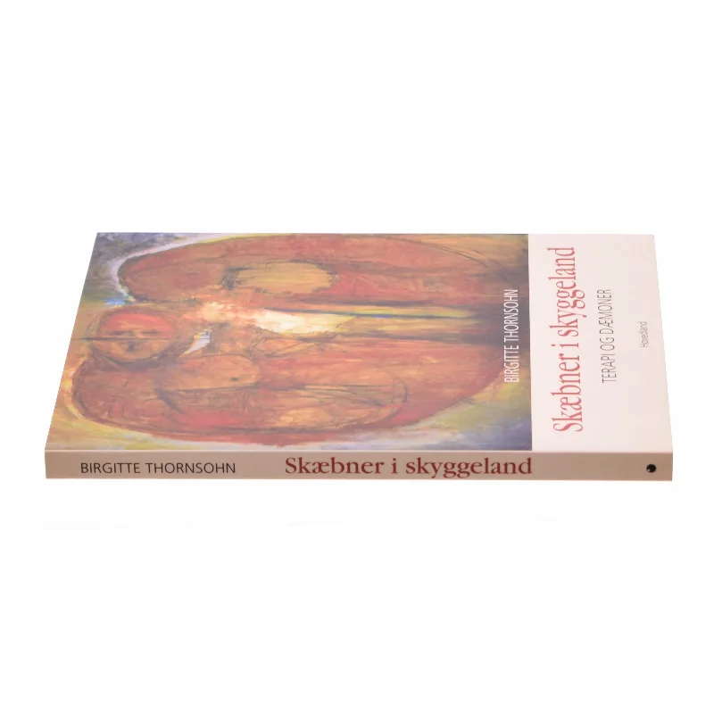 Skæbner i skyggeland af Birgitte Thorsohn (bog)