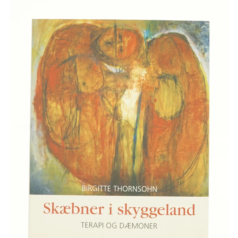 Skæbner i skyggeland af Birgitte Thorsohn (bog)