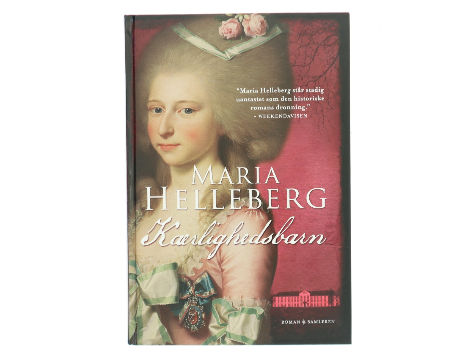 Kærlighedsbarn : roman af Maria Helleberg (Bog)