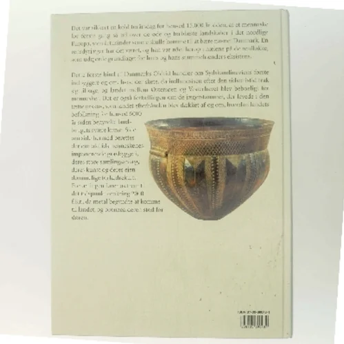 Danmarks Oldtid af Jørgen Jensen (Bog)