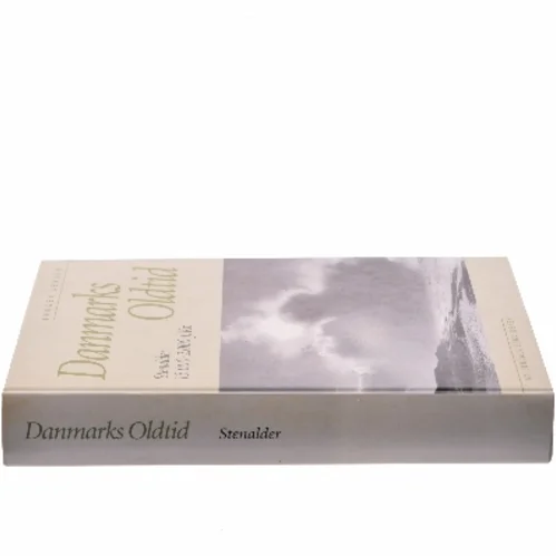 Danmarks Oldtid af Jørgen Jensen (Bog)