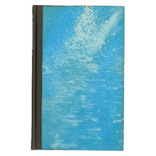 To mand - én skygge af Desmond Bagley (Bog)