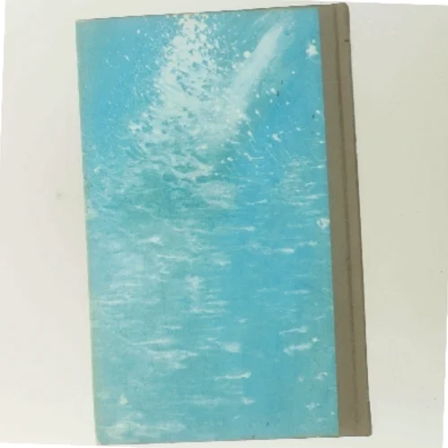 To mand - én skygge af Desmond Bagley (Bog)