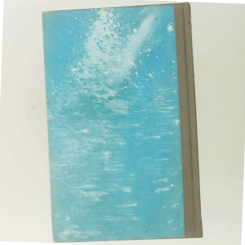 To mand - én skygge af Desmond Bagley (Bog)