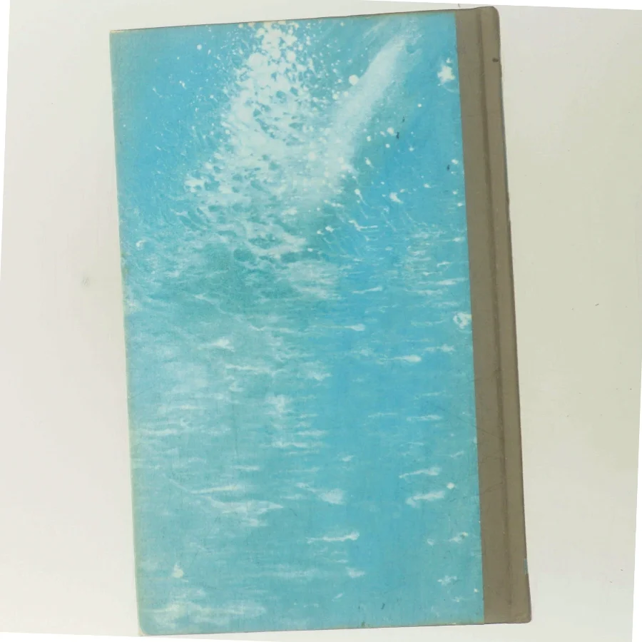 To mand - én skygge af Desmond Bagley (Bog)